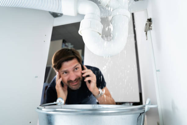 Best Shower Repair Services  in Bradford, TN